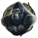 icon 2