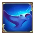 icon 2