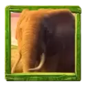 icon 1