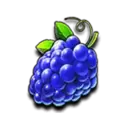 icon 5