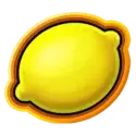 icon 9