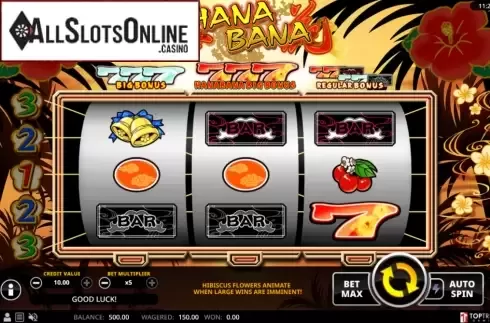 Reel Screen. Hana Bana from Swintt