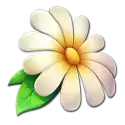 icon 4