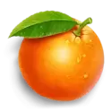 icon 6