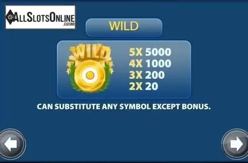 Wild pays screen