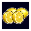 icon 7