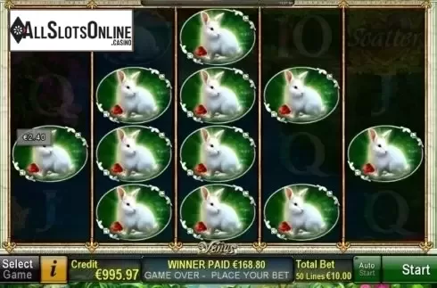 Win screen. Venus from Novomatic