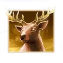 icon 1