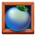 icon 4