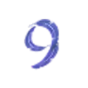 icon 10