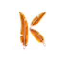 icon 6