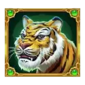 icon 4