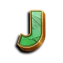 icon 8