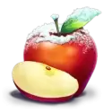 icon 6
