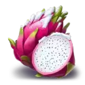 icon 4