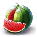 icon 5