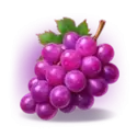 icon 5