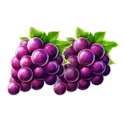 icon 4