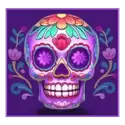 icon 1