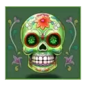 icon 4