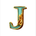 icon 10
