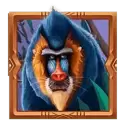 icon 3