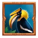 icon 5