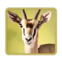 icon 5