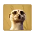 icon 6