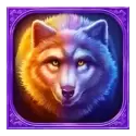 icon 4