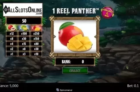 Reel screen