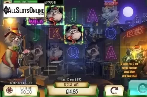 Win Screen 2. Blackjack Cats from Asylum Labs Inc.