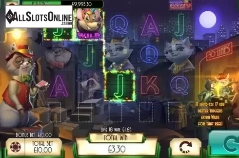 Win Screen 1. Blackjack Cats from Asylum Labs Inc.