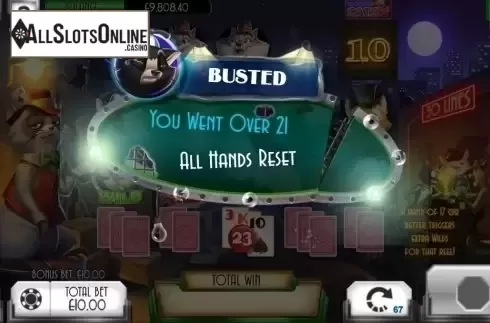 Bonus Game. Blackjack Cats from Asylum Labs Inc.