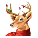icon 3
