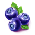 symbol 4