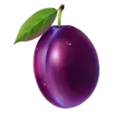 symbol 5