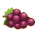 icon 6