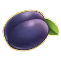 icon 5