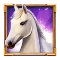 icon 5