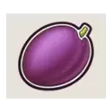 icon 5