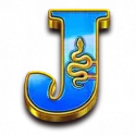 icon 8