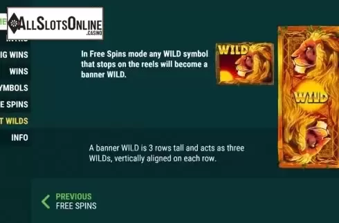 Banner wild screen