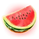 icon 4