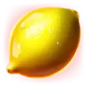 icon 5
