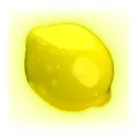 icon 5