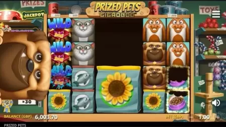 Prized Pets Gigablox slot screenshot 4