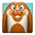 icon 5