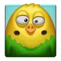 icon 4