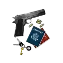 icon 11